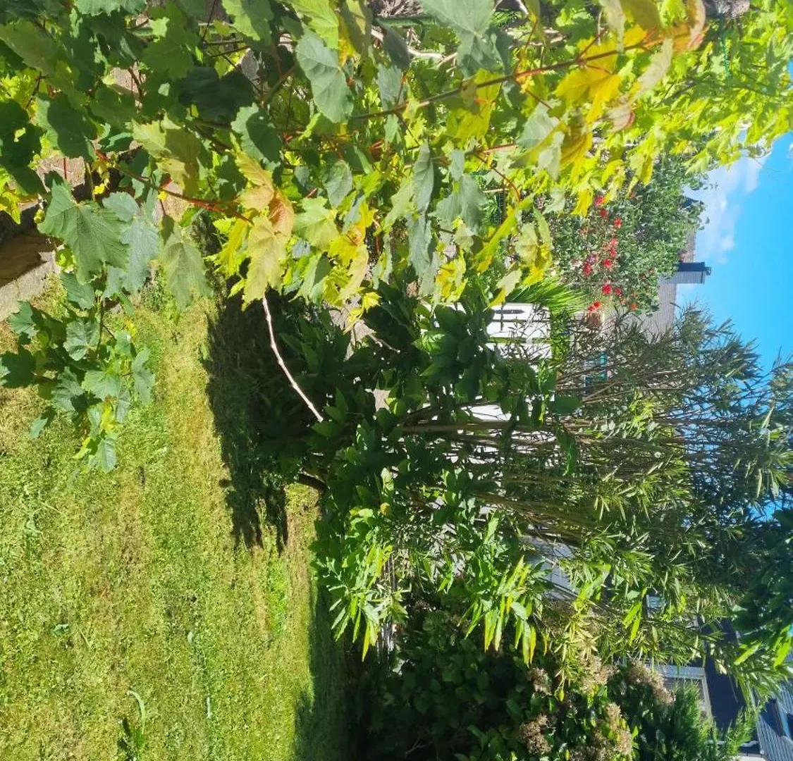 Chambre Privee Dans Maison Au Quartier Calme Brest Privatunterkunft